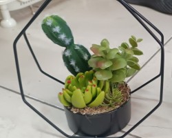 ستاند  اسود مع قوار ورد صبار16 سم بورسلان   